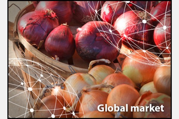 Кракен купить порошок krk market com