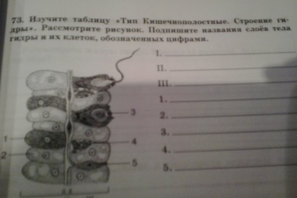 Кракен krakens13 at