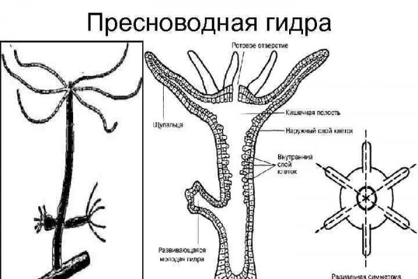 Кракен наркологический